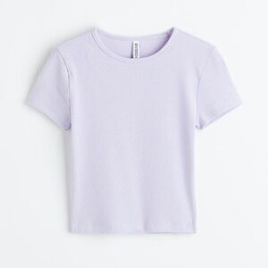 Divided Light Purple Crop Top​